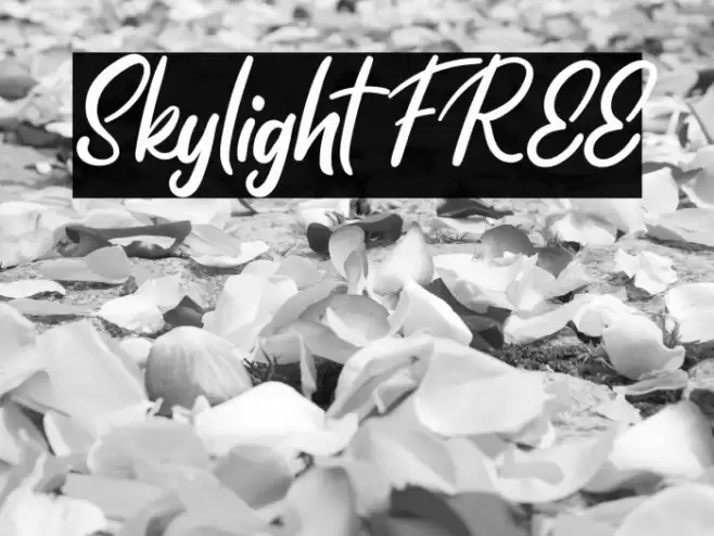 Skylight FREE Font examples