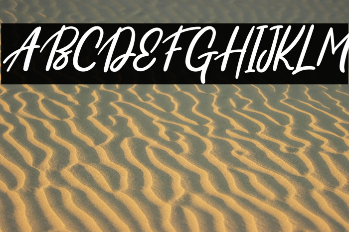 SkylightFREE Example 3