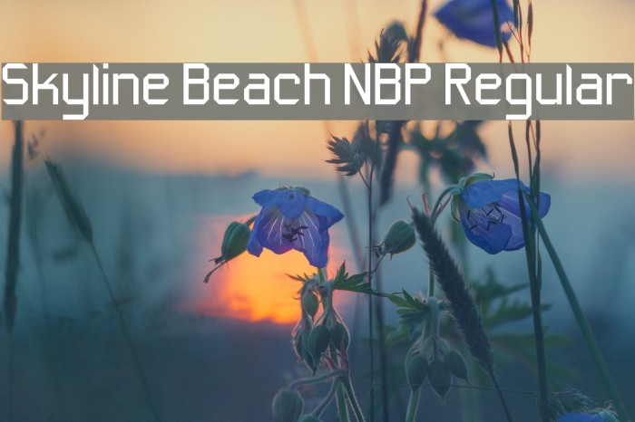 Skyline Beach NBP Regular Font examples
