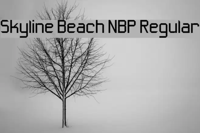 Skyline Beach NBP Regular Font examples