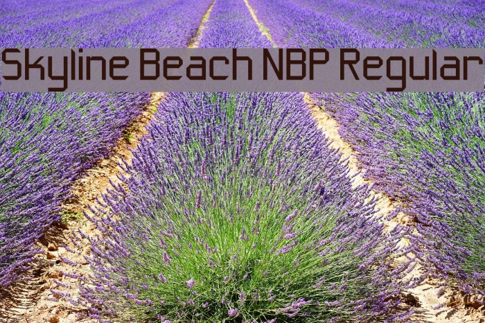 Skyline Beach NBP Regular Font examples
