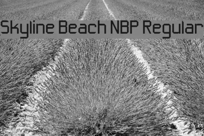 Skyline Beach NBP Regular Font examples