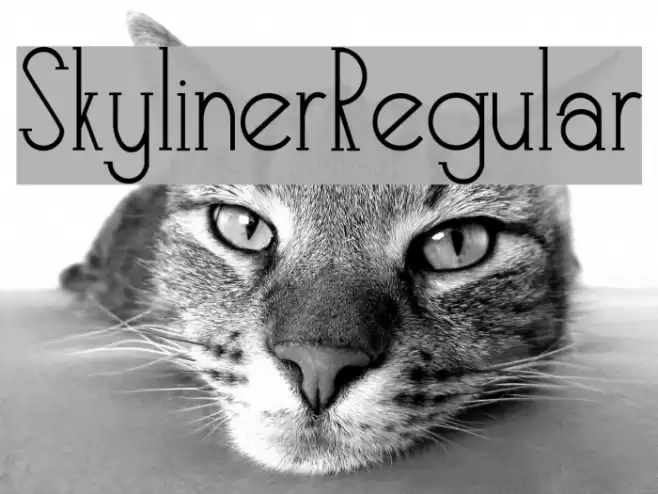 Skyliner-Regular Font examples