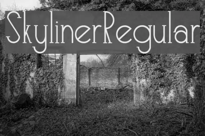 Skyliner-Regular Font examples