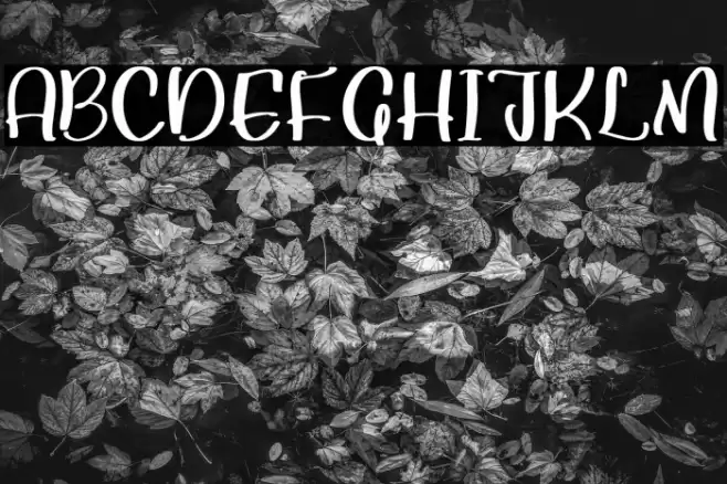 Skymate फ़ॉन्ट examples