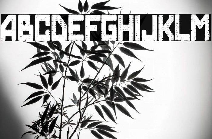 Skynet College Example 1