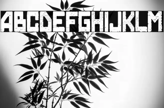 Skynet College Font examples