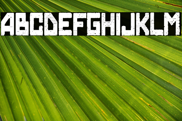 Skynet College Example 2