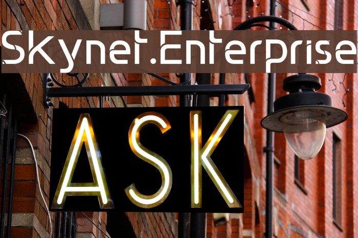 Skynet.Enterprise Example 2