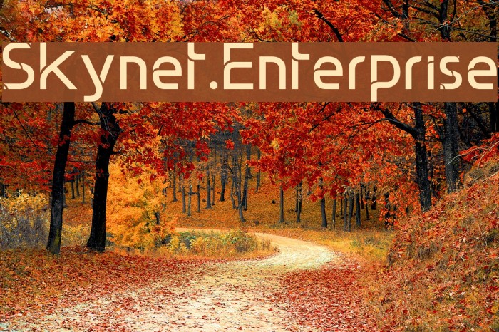 Skynet.Enterprise Example 3