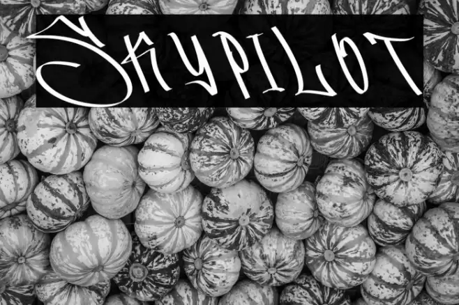 Skypilot 字体 examples