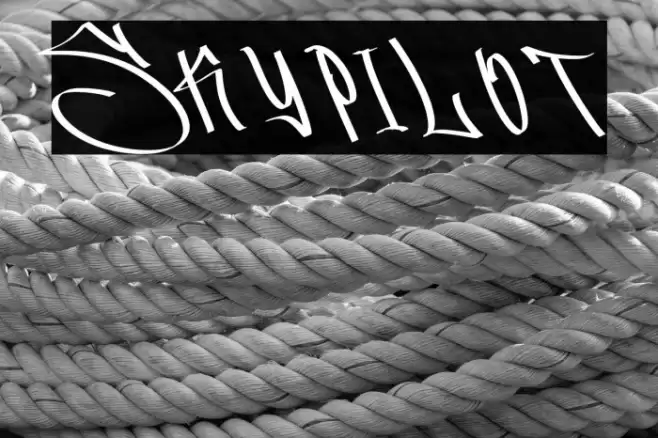 Skypilot 字体 examples