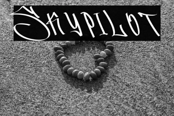 Skypilot 字体 examples