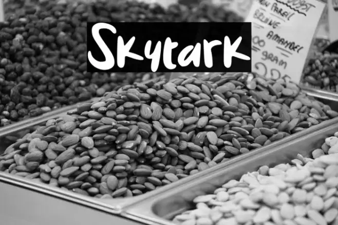 Skytark Font examples