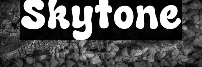 Skytone خط examples