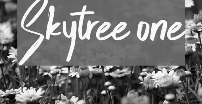 Skytree one Font examples