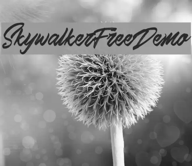 Skywalker Free Demo Font examples