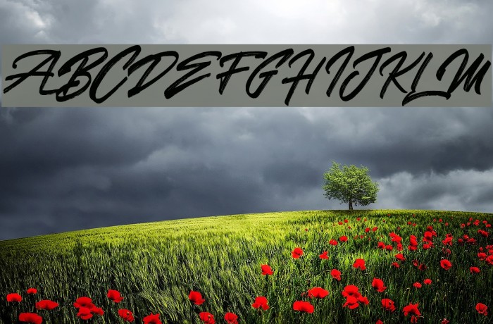 SkywalkerFreeDemo Font examples