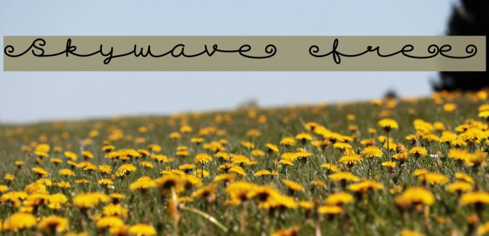 Skywave Free Font examples