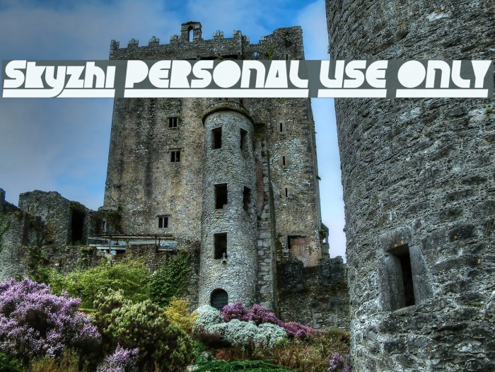 Skyzhi PERSONAL USE ONLY Example 1