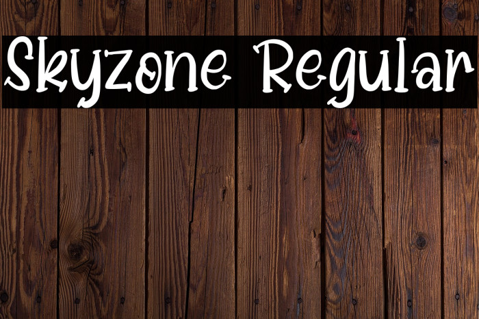 Skyzone Regular Example 2
