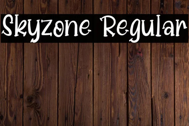 Skyzone Regular Example 2