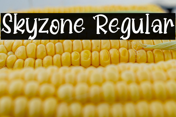 Skyzone Regular Example 3