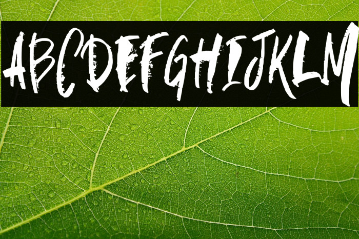 skate fall Example 1