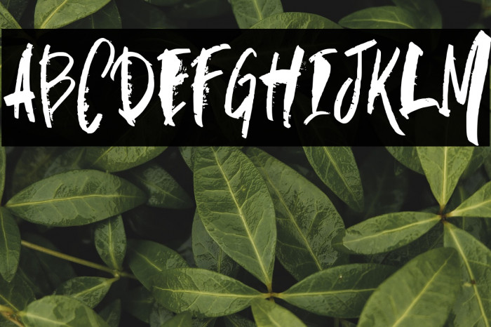 skate fall Example 2