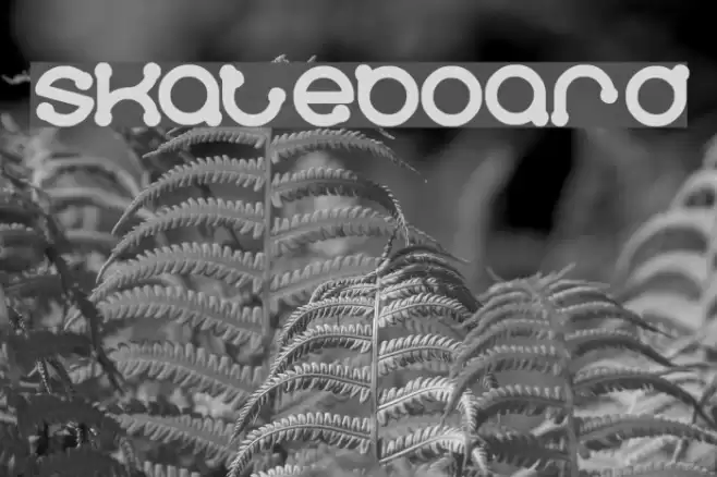 skateboard Font examples