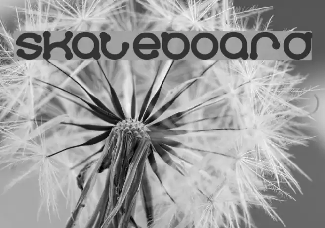 skateboard Font examples