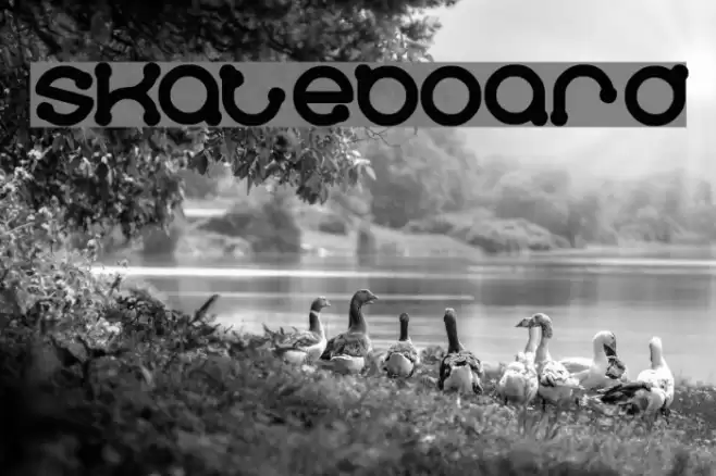 skateboard Font examples