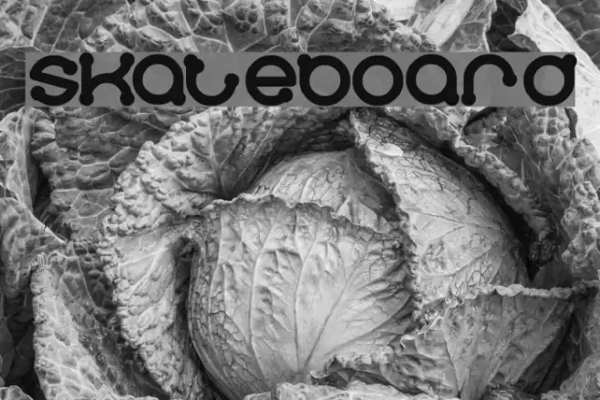 skateboard Font examples