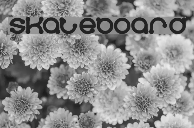 skateboard Font examples