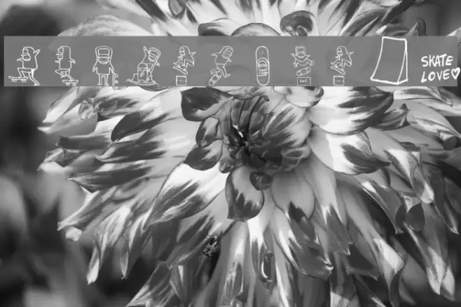 skatelove 2.0 Font examples