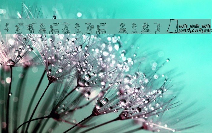 skatelove [ tour 2009] Example 1