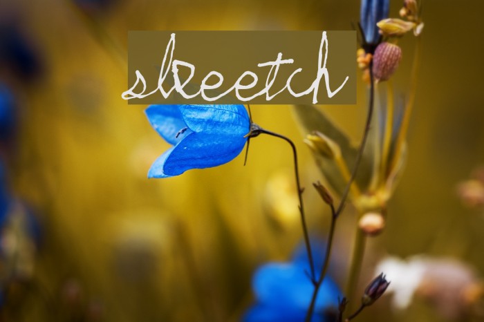 skeetch Font examples