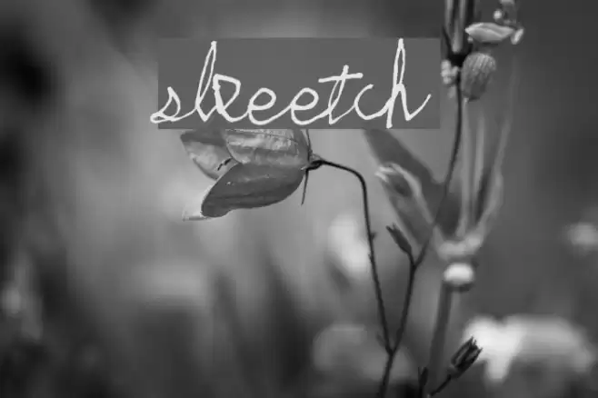 skeetch फ़ॉन्ट examples