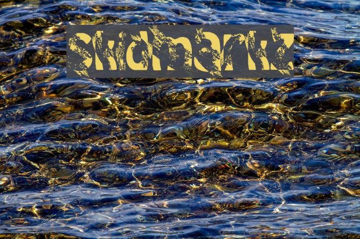 skidmarkz Font examples