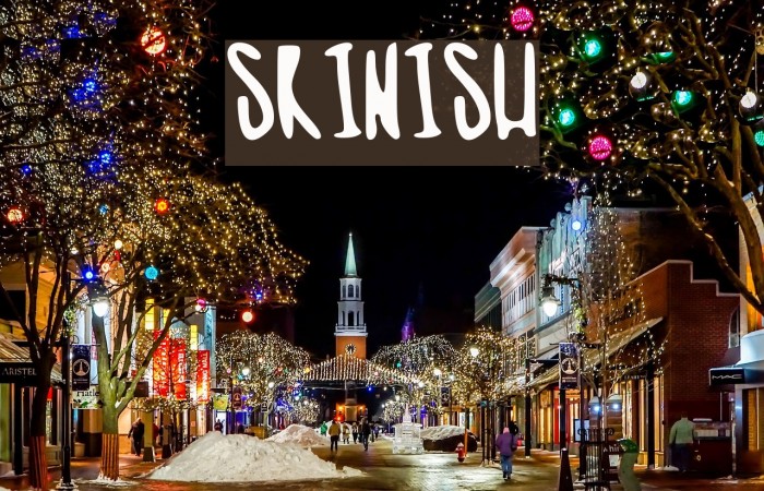 skinish Font examples