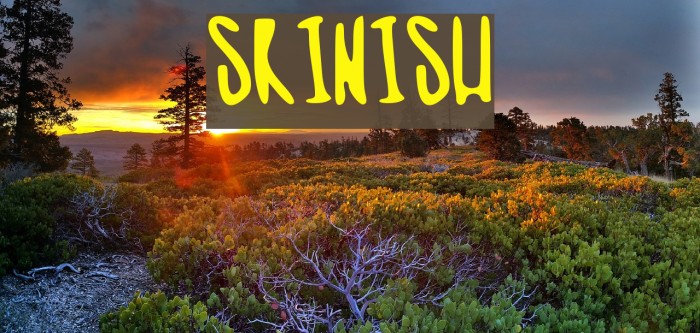 skinish Font examples