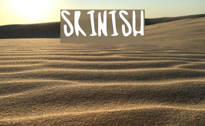 skinish Font examples