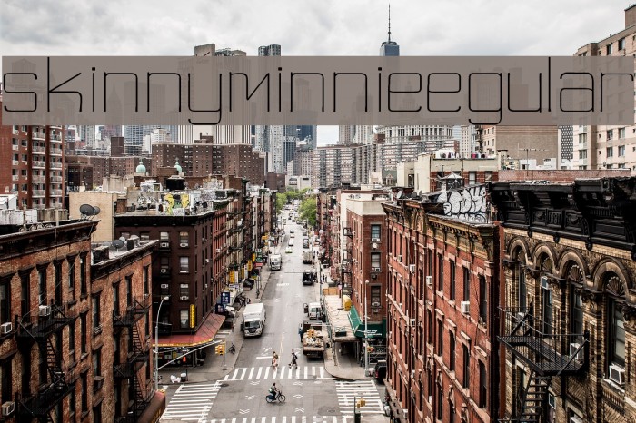 skinny minnieRegular Example 3