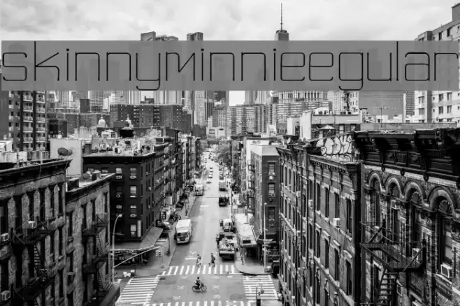 skinny minnieRegular Font examples