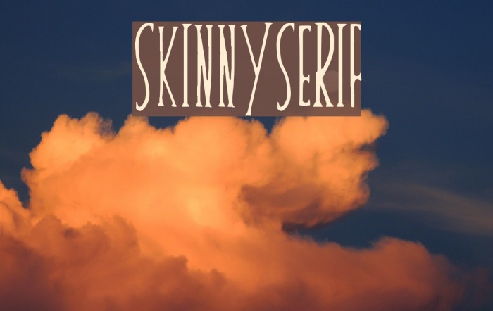skinnyserif Font examples