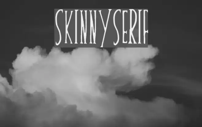 skinnyserif Font examples