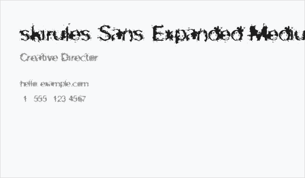 skirules-Sans Expanded Medium Business Card