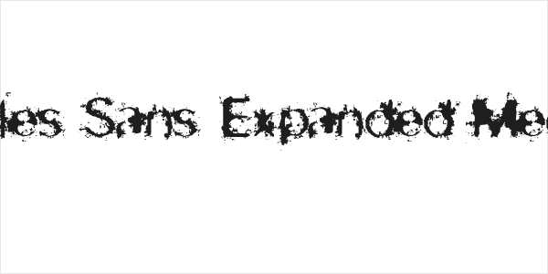 skirules-Sans Expanded Medium Logo