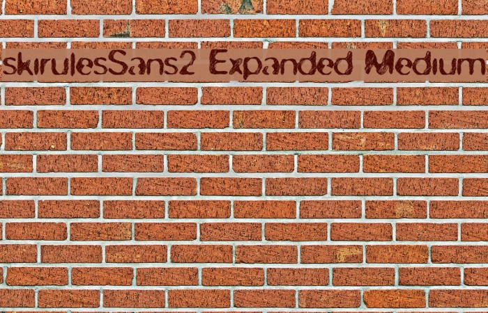 skirules-Sans2 Expanded Medium Font examples