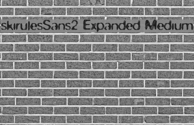skirules-Sans2 Expanded Medium Font examples